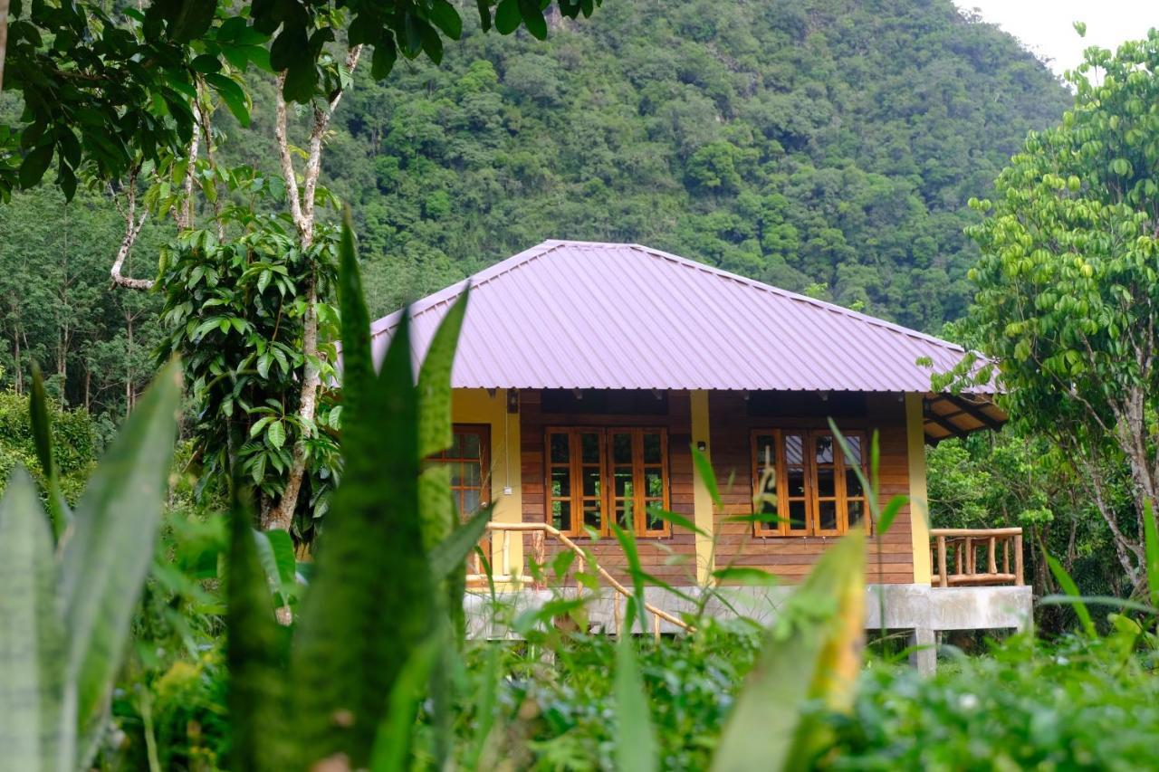 Monkey Mansion - Jungalows & Tours Khao Sok National Park Esterno foto
