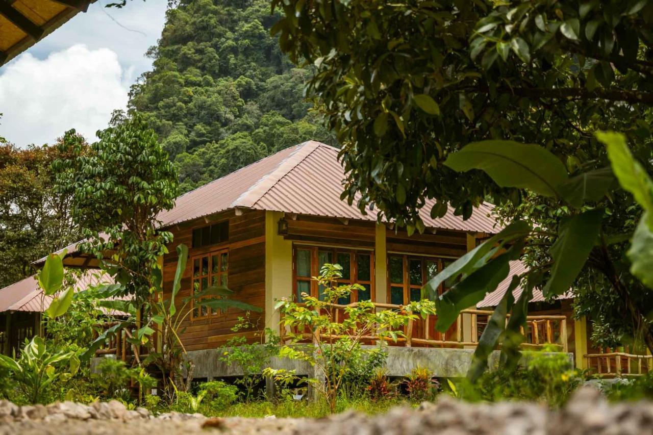 Monkey Mansion - Jungalows & Tours Khao Sok National Park Esterno foto
