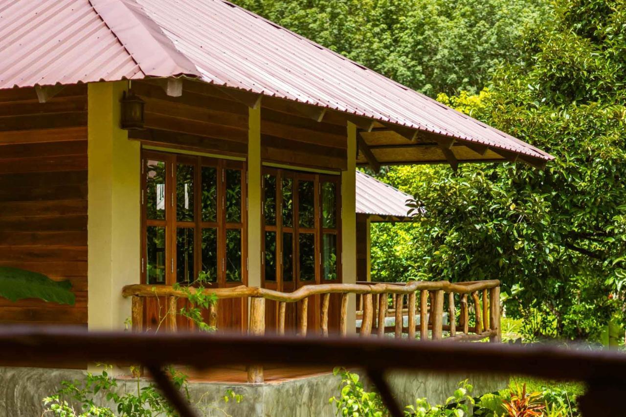 Monkey Mansion - Jungalows & Tours Khao Sok National Park Esterno foto