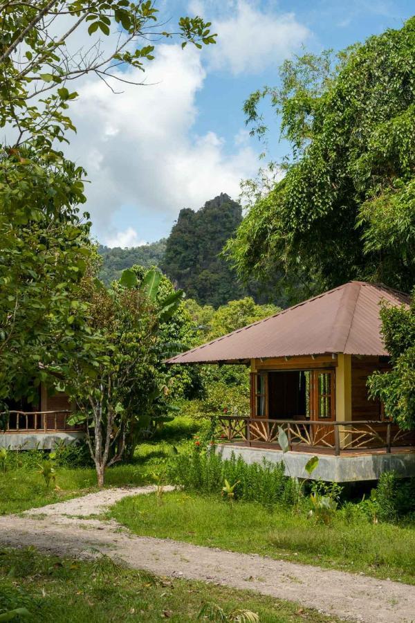 Monkey Mansion - Jungalows & Tours Khao Sok National Park Esterno foto