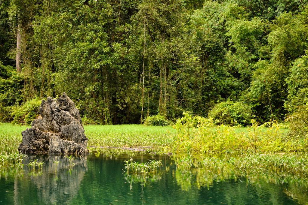 Monkey Mansion - Jungalows & Tours Khao Sok National Park Esterno foto